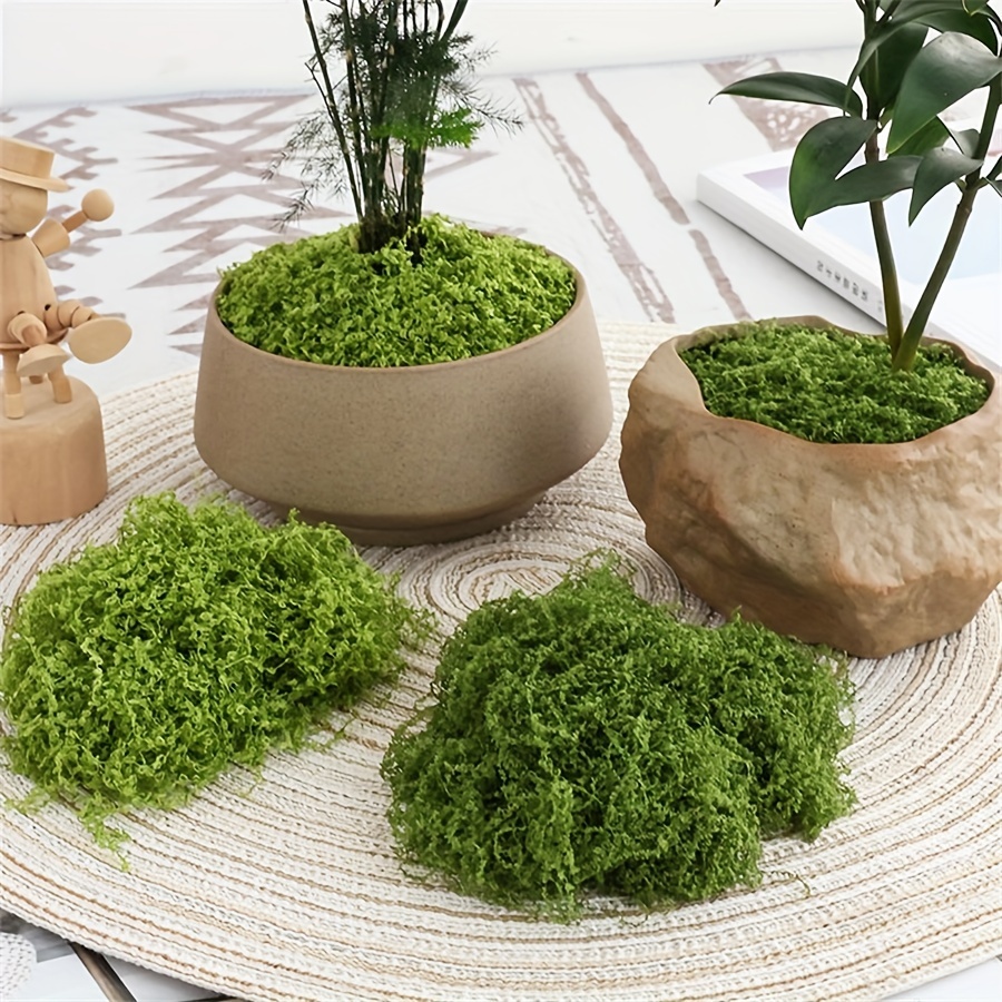 Terrarium Moss Art - 1 pacote de musgo artificial falso,