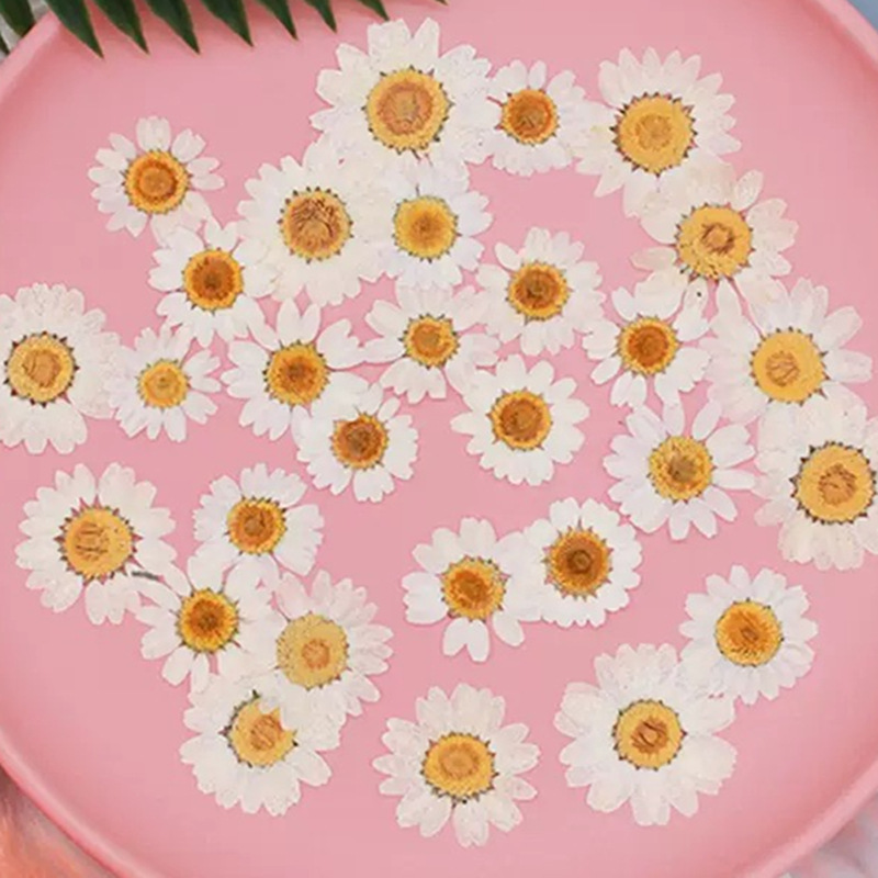 Resin Craft Ideas - 100 Peças de Cristal Branco Natural,