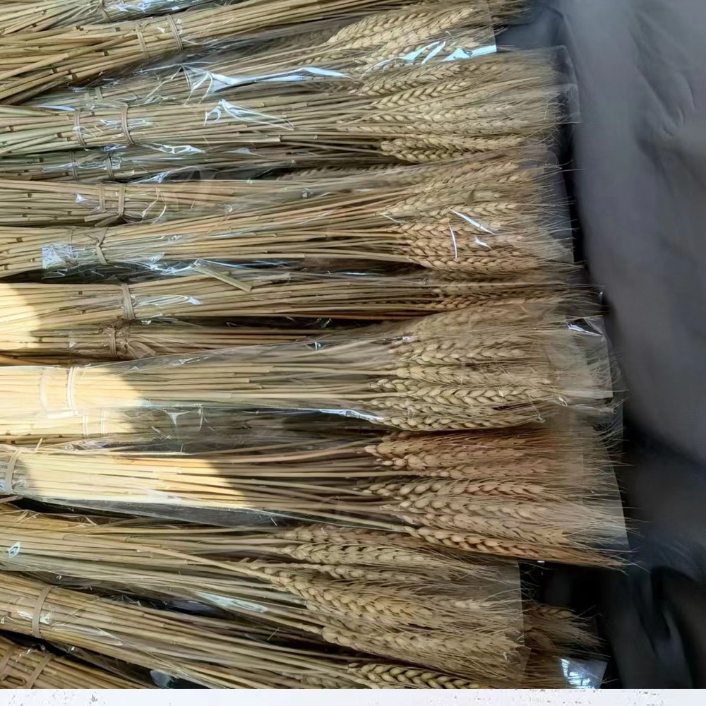 50 Peças de Flores Artificiais - Dried Flower Bulk avaliação e preço
