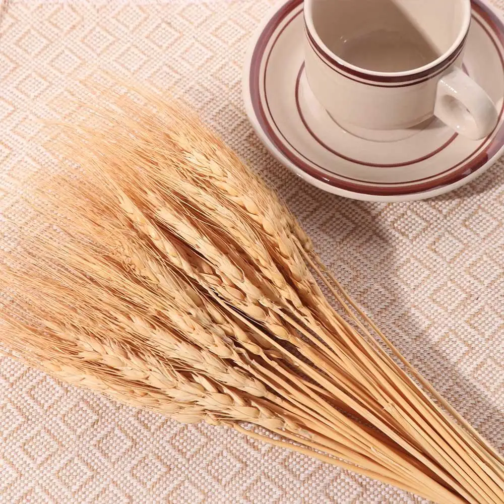 50 Peças de Flores Artificiais - Dried Flower Bulk avaliação e preço