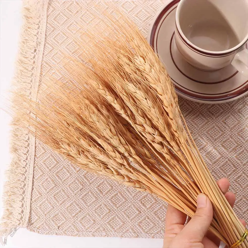 50 Peças de Flores Artificiais - Dried Flower Bulk avaliação e preço