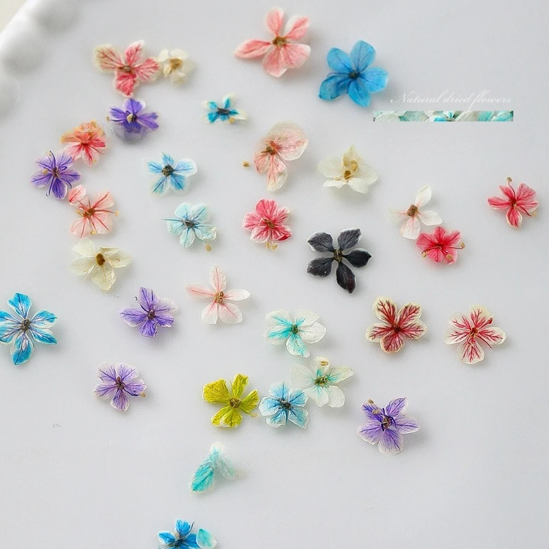 1 pçs verão gradiente floral a - Dried Flower Bulk avaliação e preço