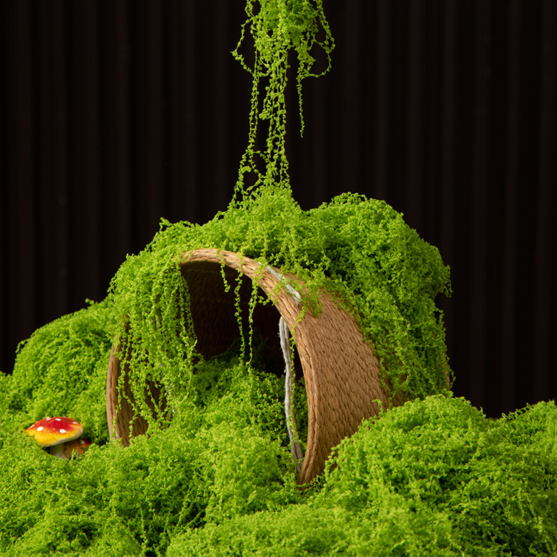 Musgo da Vida Eterna 200g para - Terrarium Moss Art avaliação e preço