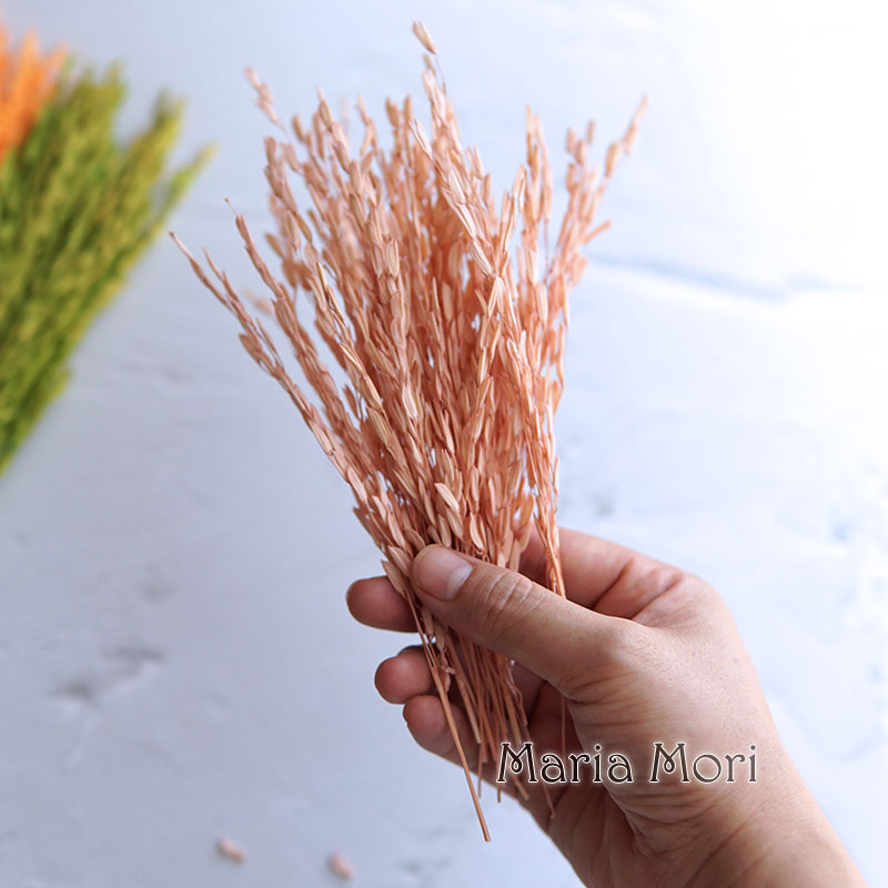 5g/banco tingido flores natura - Dried Flower Bulk avaliação e preço