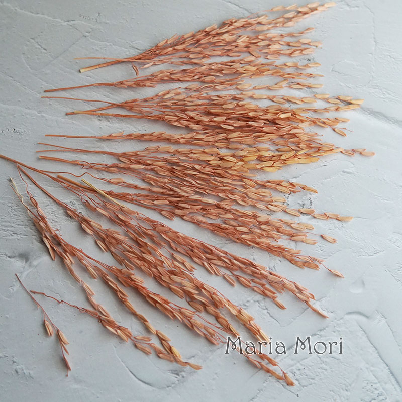5g/banco tingido flores natura - Dried Flower Bulk avaliação e preço