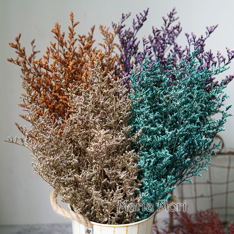 50g/Flor de Limonium Preservad - Dried Flower Bulk avaliação e preço