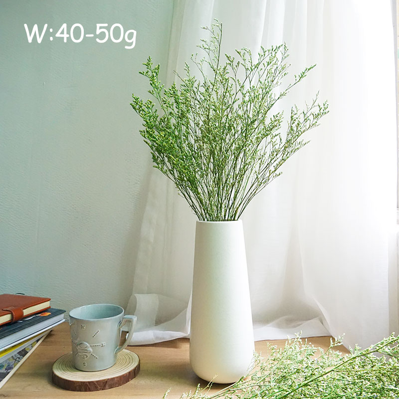 50g/Flor de Limonium Preservad - Dried Flower Bulk avaliação e preço