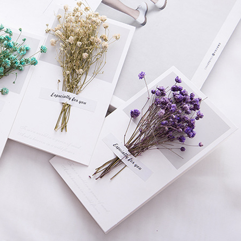 Cartões para convites de casam - Dried Flower Bulk avaliação e preço