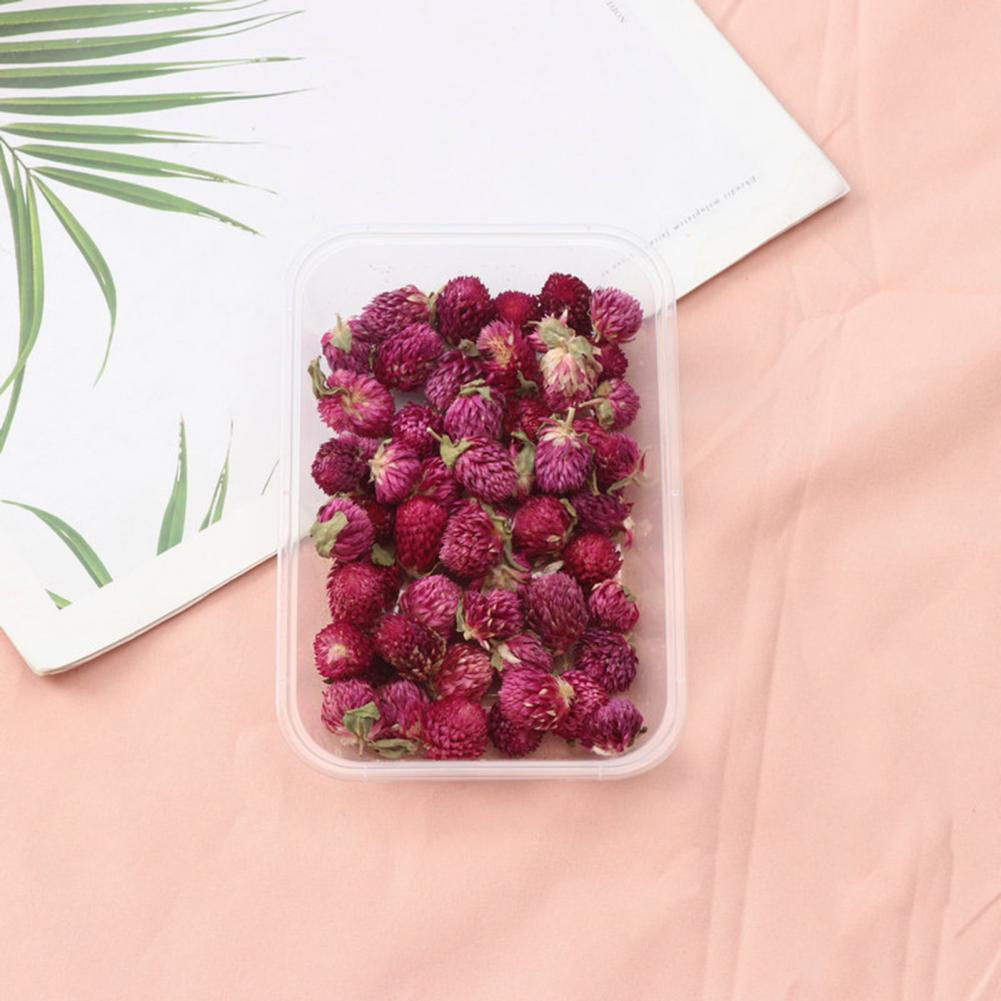 Flores Naturais Reais para Cri - Dried Flower Bulk avaliação e preço