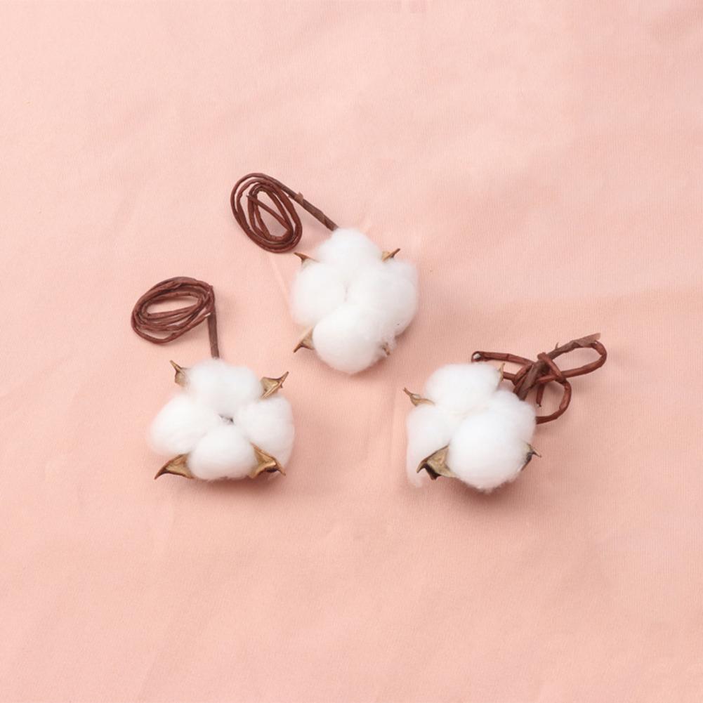 Flores Naturais Reais para Cri - Dried Flower Bulk avaliação e preço