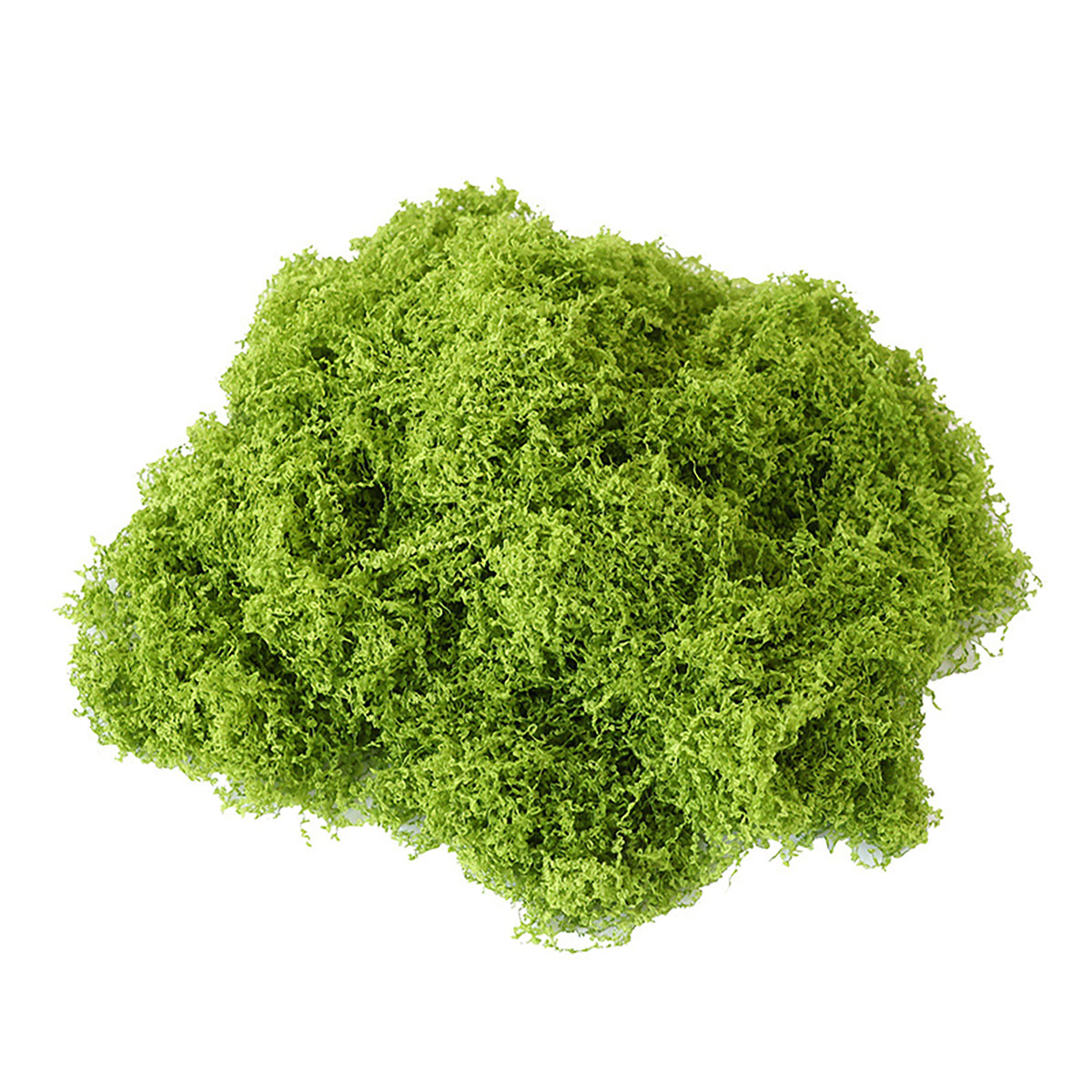 Cerca de 20g de Plantas Verdes - Terrarium Moss Art avaliação e preço