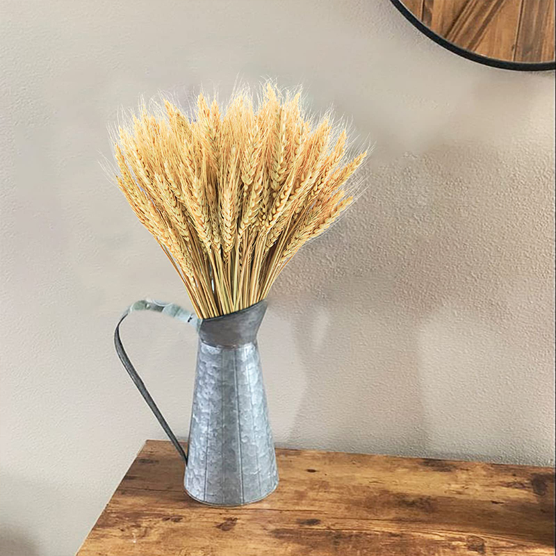 Seco Trigo Hastes Flor Natural - Dried Flower Bulk avaliação e preço