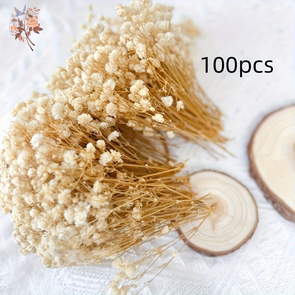 100 Peças de Flores Secas Mini - Resin Craft Ideas avaliação e preço